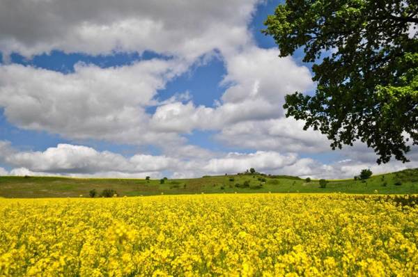 Ferienwohnungen Sellin mit Seeblick