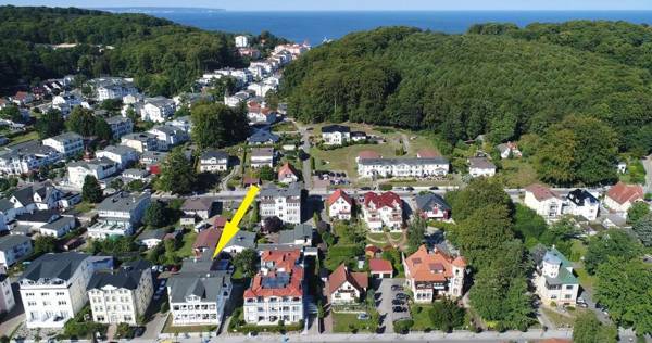 Vergissmeinnicht Studio 2