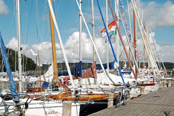 Vergissmeinnicht Studio 2