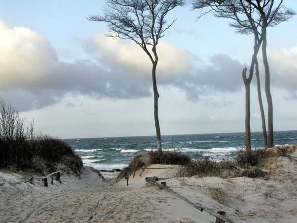 Hotel Strandburg Prerow