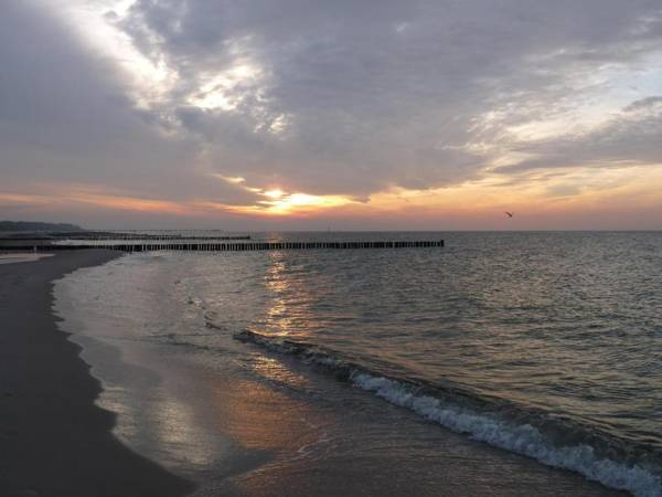 Residenz Lausitz - Apartments für Urlaub mit Hund