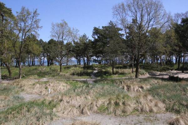 Strandresidenz Appartement Gänsesäger V09 inklusive 2 Strandkörbe