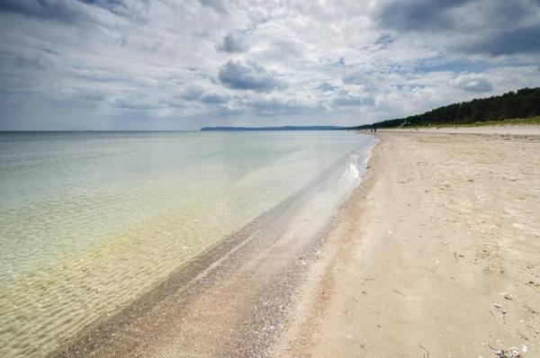 FeWo Prora - Seepferdchen