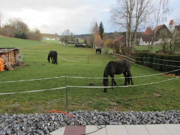 Ferienwohnung am Weinberg