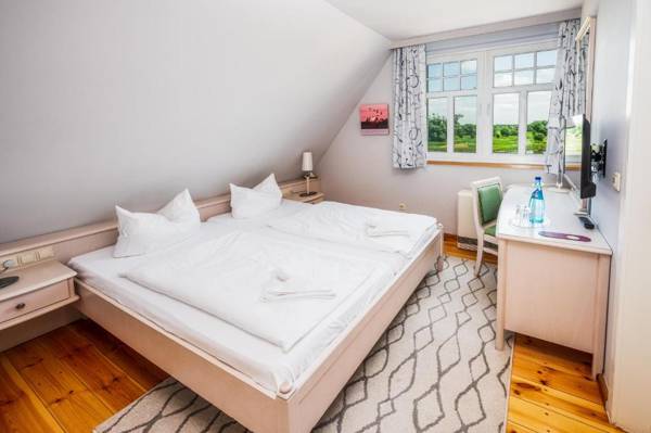 Elbterrasse Wörlitz