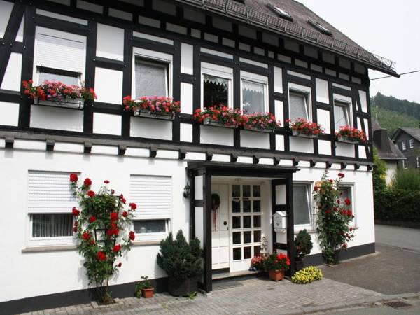 Ferienhaus Haus am Medebach