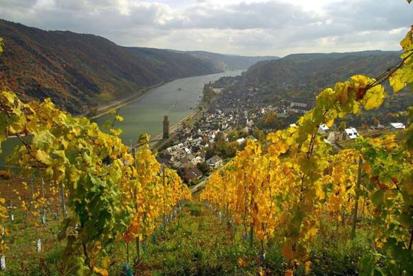 Hotel Weinhaus Weiler