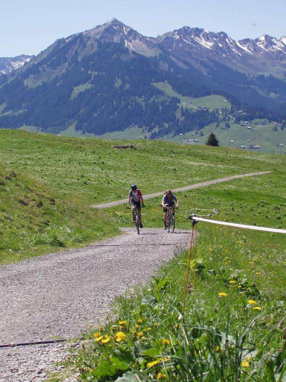 Gästehaus zur Färbe Apartments