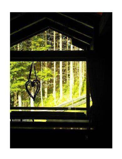 Haus-Bucheneck-Wohnung-2