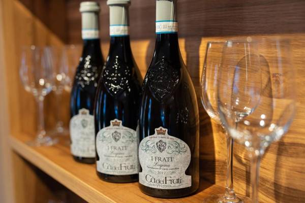 Apartment Walserblick