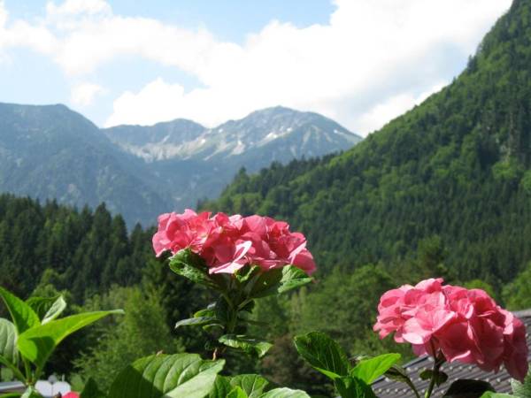 Apartements Ingrid Unhoch-Raggl