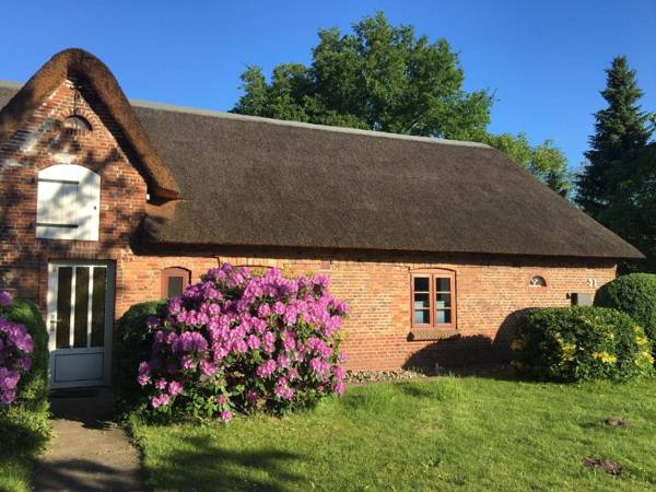 Ferienwohnung-Austernfischer