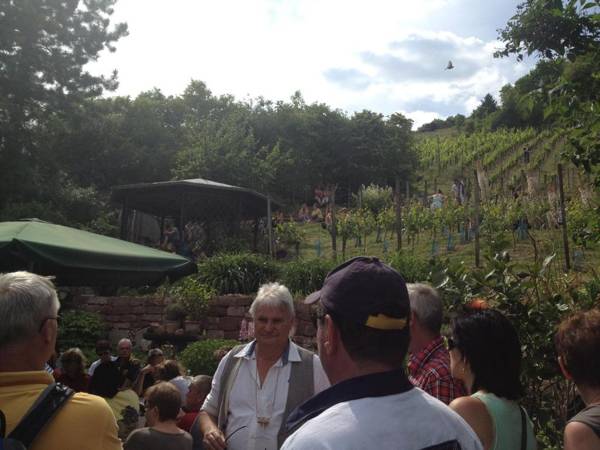 Hotel garni Zum Rebstock