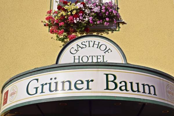 Hotel Grüner Baum