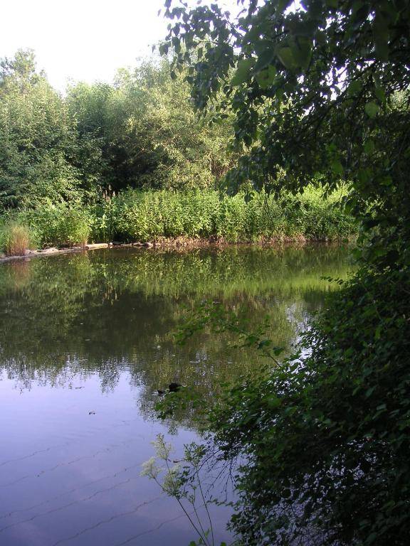 Hammerschloss Unterklingensporn