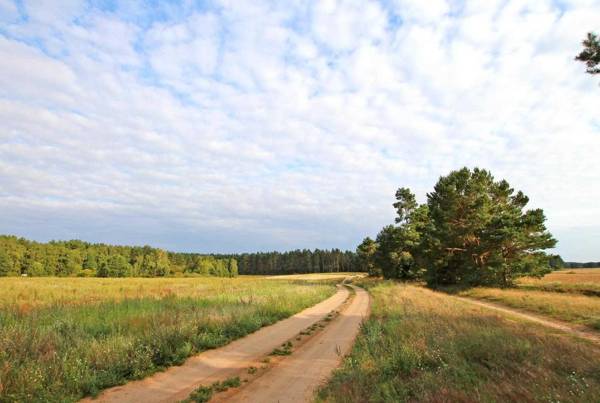 Ferienwohnung im Forsthaus am See