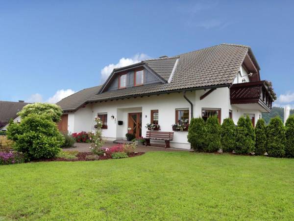 Cosy Apartment in Medebach ot Dreislar with Terrace