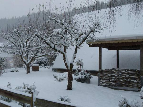 Scenic Holiday Home in Medebach-Dreislar with Roofed Terrace