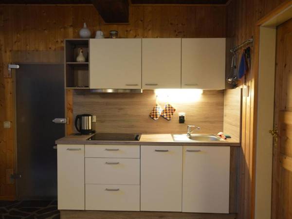 Cozy Apartment in County of Manderscheid with TV