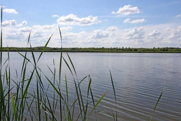 Ferienhaus in Alleinlage Krukow SEE 10501