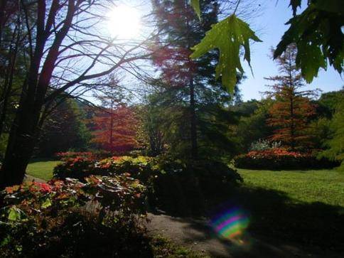 Hotel Villa im Steinbusch