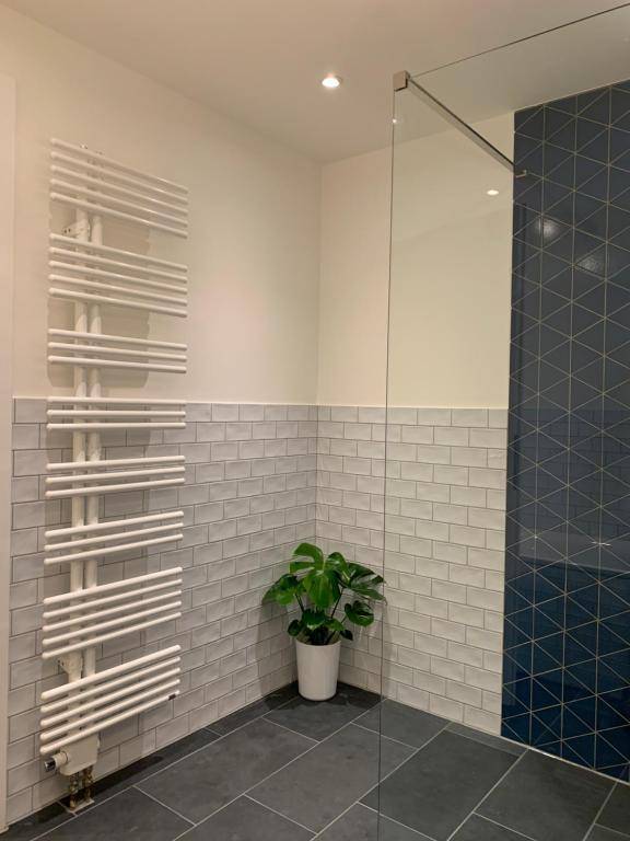 The Apartment Downtown