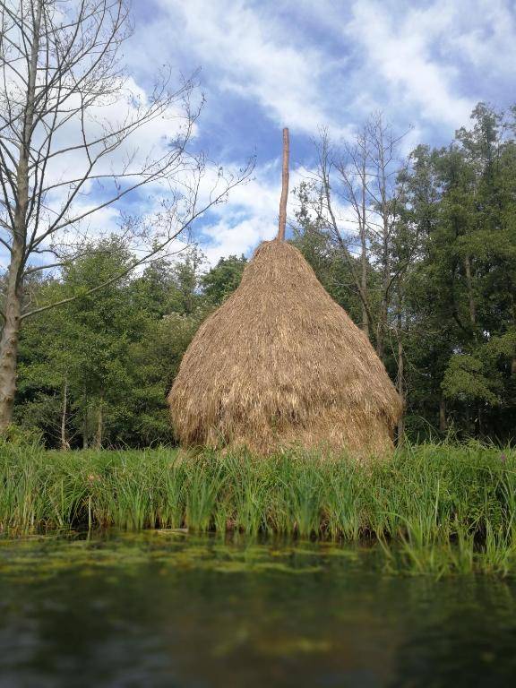Spreewald Ferienwohnung Wollgast
