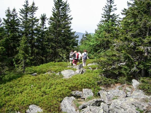 GarniHotel zur Linde