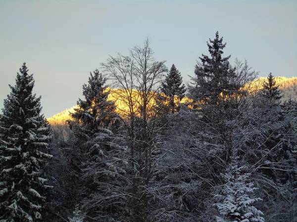 Pension Haus Waldesruh