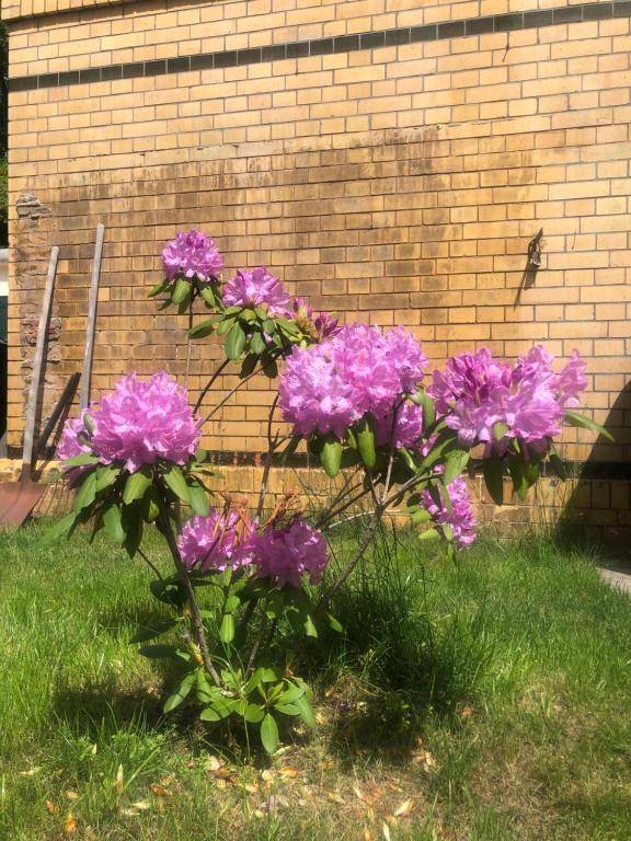 Alte Bahnstation Leipzig (Appartement TWO & ONE)