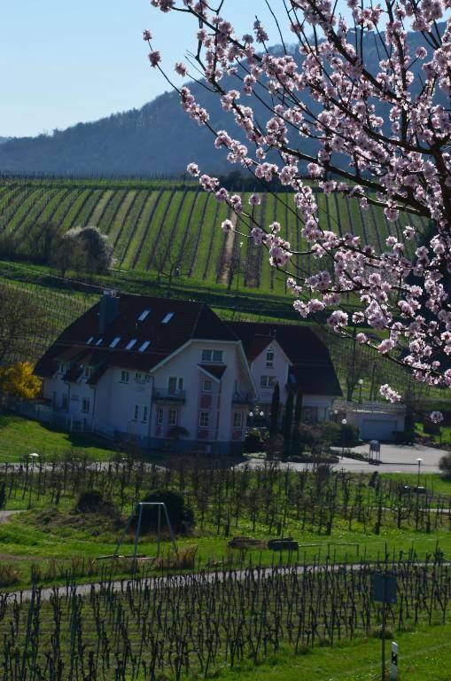 Castell Hotel & Restaurant