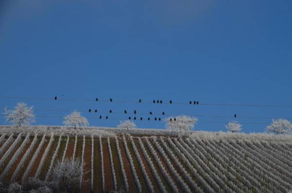 Castell Hotel & Restaurant