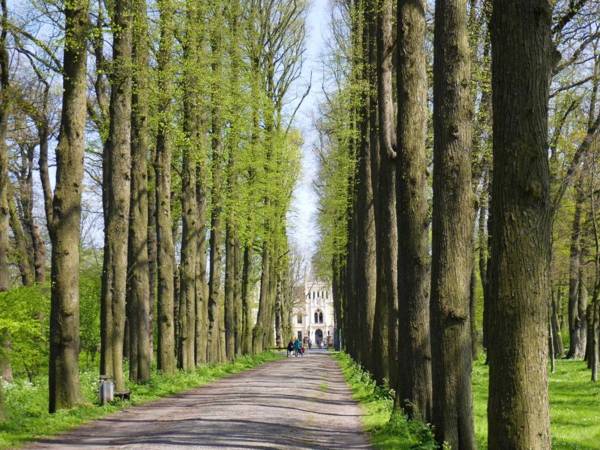 Ferienwohnung Raguse 15081