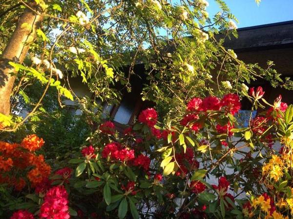 Gästehaus Sonnenstube