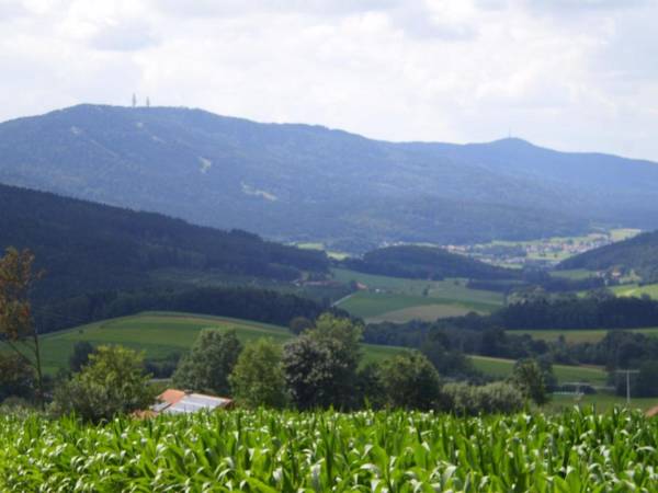 Gasthof - Pension Schamberger