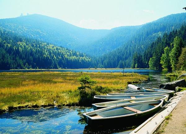 Appartements Pension Hammerschmied