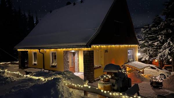 Ferienwohnung-direkt-am-skihang