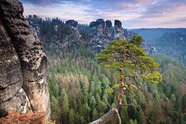 Logis Hotel QUARTIER 5 Sächsische Schweiz mit Restaurant Café & Bar