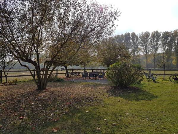 Apartments Luisenhof