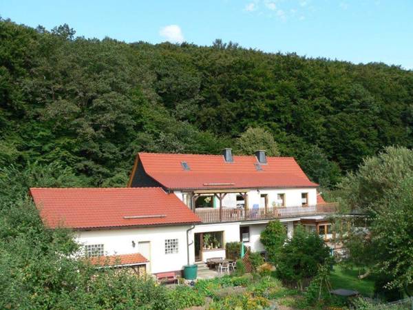 Quietly located holiday home with terrace at the edge of the forest