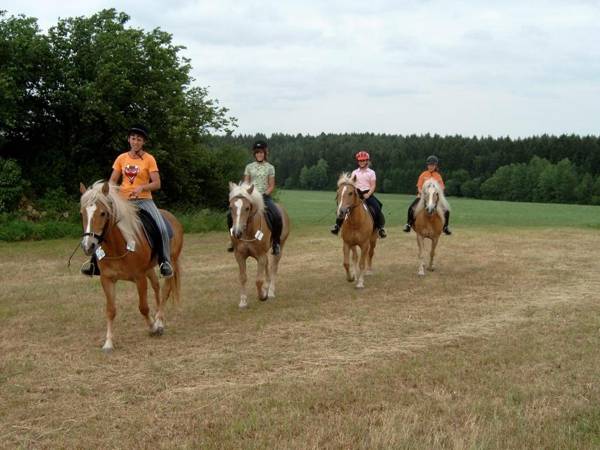 Hotel Gasthof Zur Post