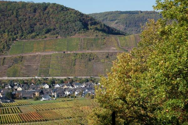 Ferienhaus Mosel Bub