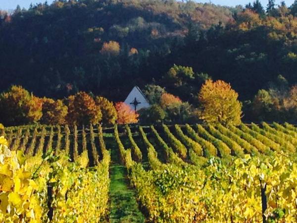 Ferienwohnung Wittker