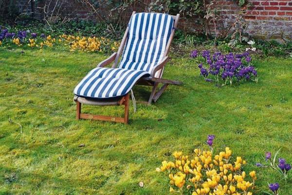 Altes Rektorenhaus 1