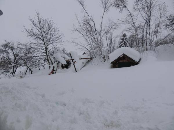 Ferienwohnung Butscher