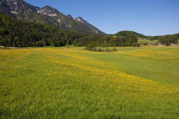 Ferienwohnung Panorama EG
