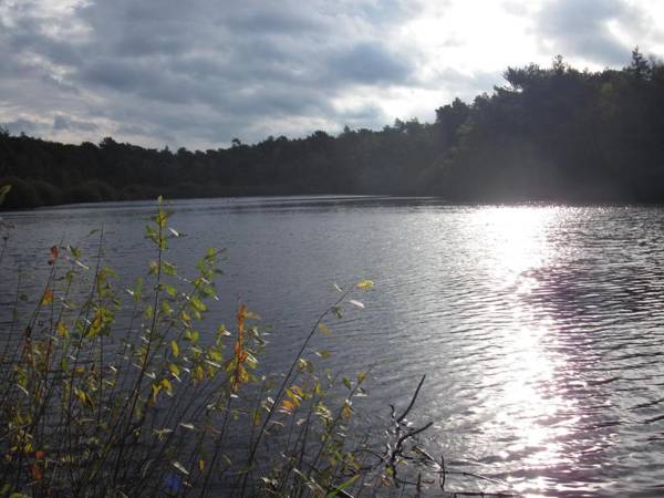 Hotel-Café "Schauinsland"