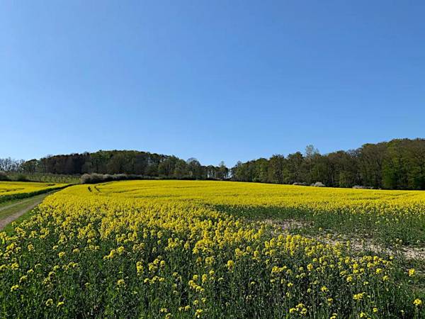 Gästehaus am Kurpark