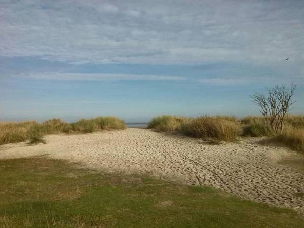 Ferienhaus Albatros Nr. 1