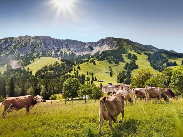 Panoramahotel Oberjoch